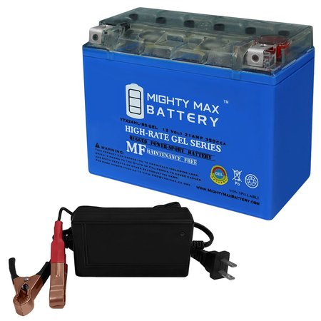MIGHTY MAX BATTERY MAX3904595